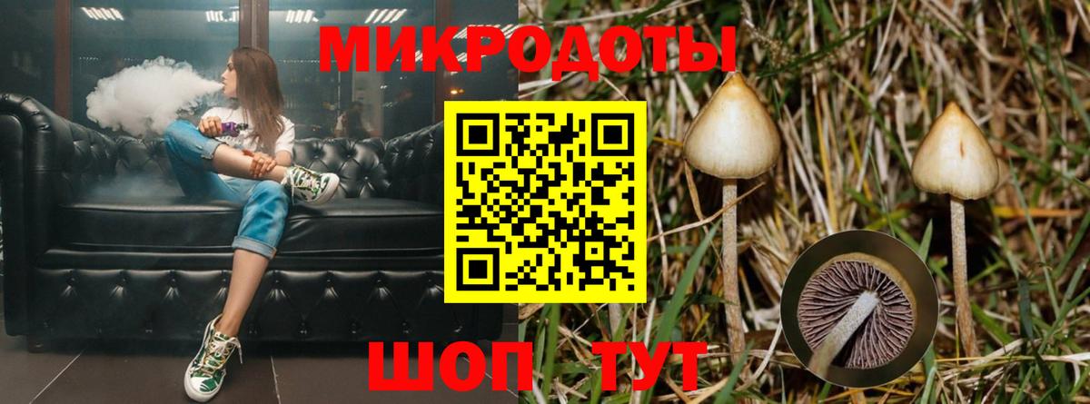 Галлюциногенные грибы ЛСД Алексин